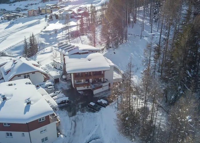 阿尔平公寓酒店 公寓 *