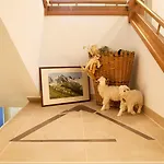 Alpin Ζόλντεν